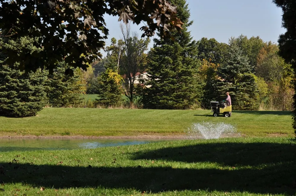 Professional yard cleanup service for residential properties in Milan, MI by Back To Nature Lawn Care