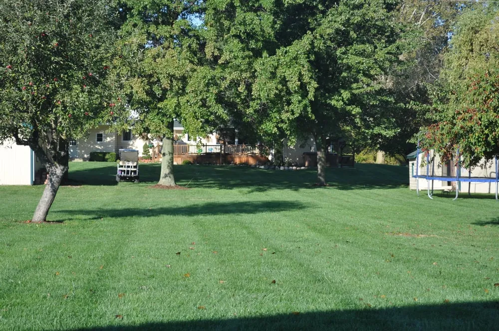 Top-rated residential landscaping for homes across Milan, MI - Back To Nature Lawn Care