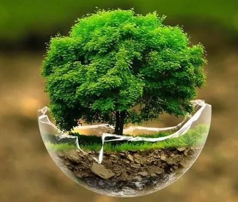 Back To Nature Lawn Service Logo