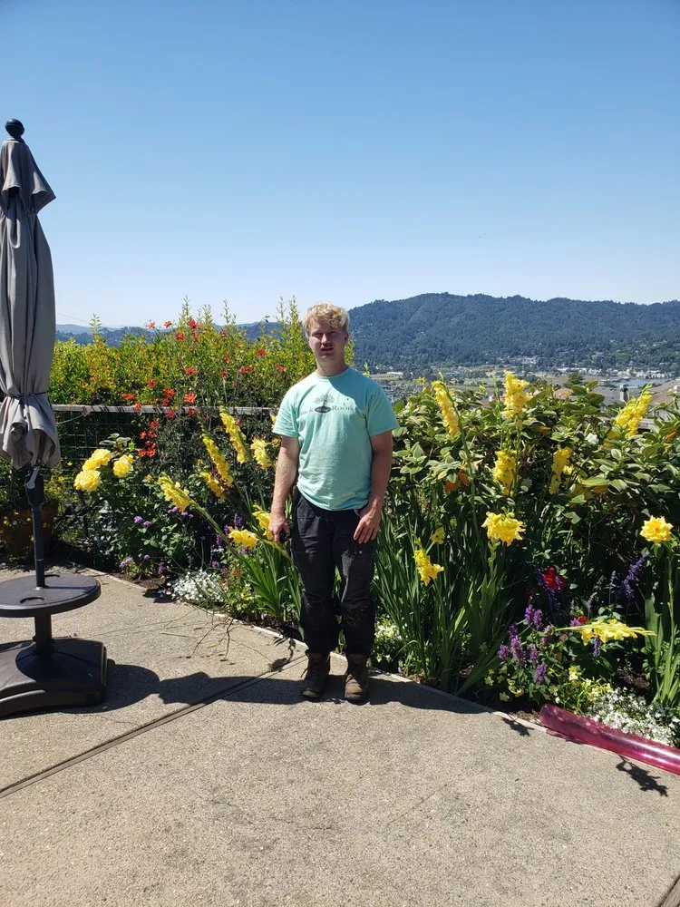 Custom residential landscaping in Novato, CA by Back To The Roots Landscaping