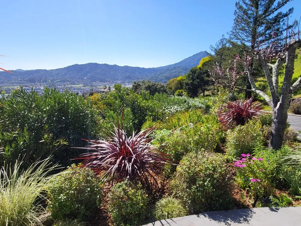 Custom landscape installation in Novato, CA - Back To The Roots Landscaping
