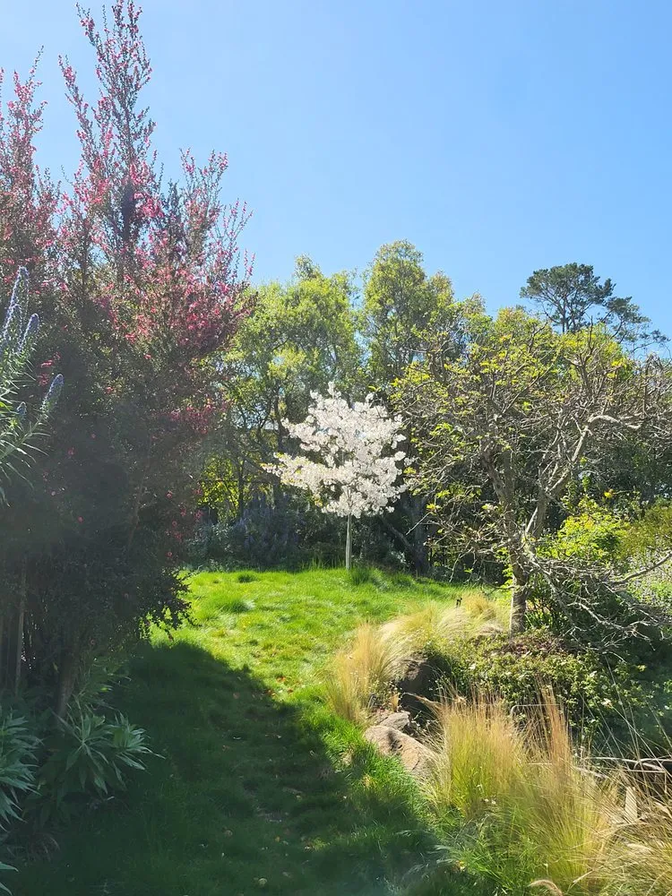 Trusted outdoor landscaping with custom design in Novato, CA by Back To The Roots Landscaping