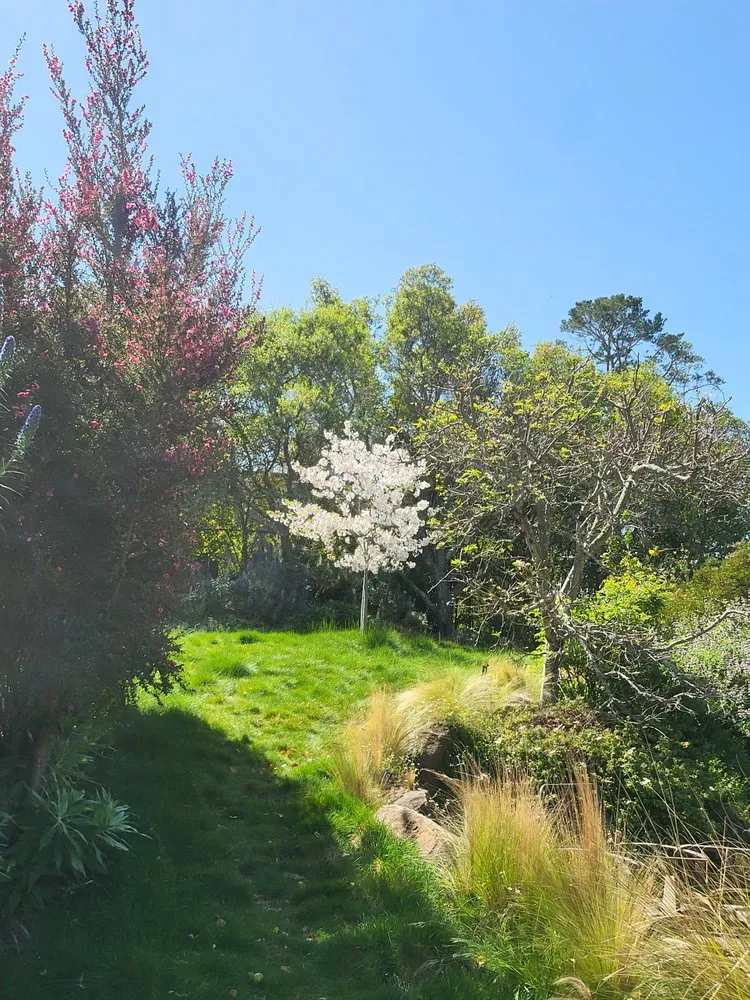 Trusted outdoor landscaping experts serving Novato, CA - Back To The Roots Landscaping