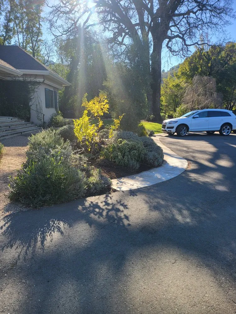 Professional residential landscaping in Novato, CA by Back To The Roots Landscaping