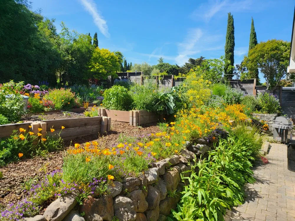 Custom residential landscaping near you in Novato, CA by Back To The Roots Landscaping