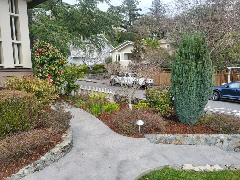 Professional lawn care service in Novato, CA - Back To The Roots Landscaping