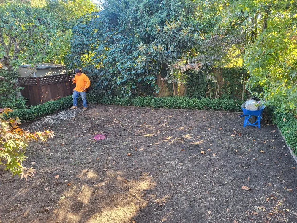 Custom landscaping services in Novato, CA by Back To The Roots Landscaping