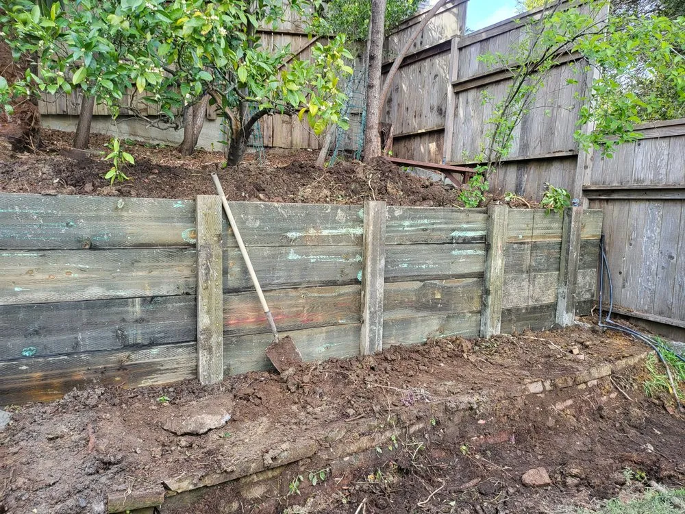 Expert residential landscaping in Novato, CA - Back To The Roots Landscaping