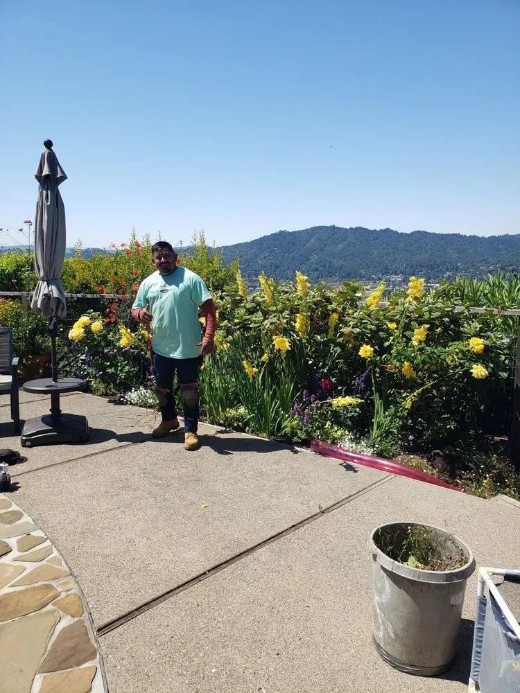 Custom yard maintenance in Novato, CA - Back To The Roots Landscaping
