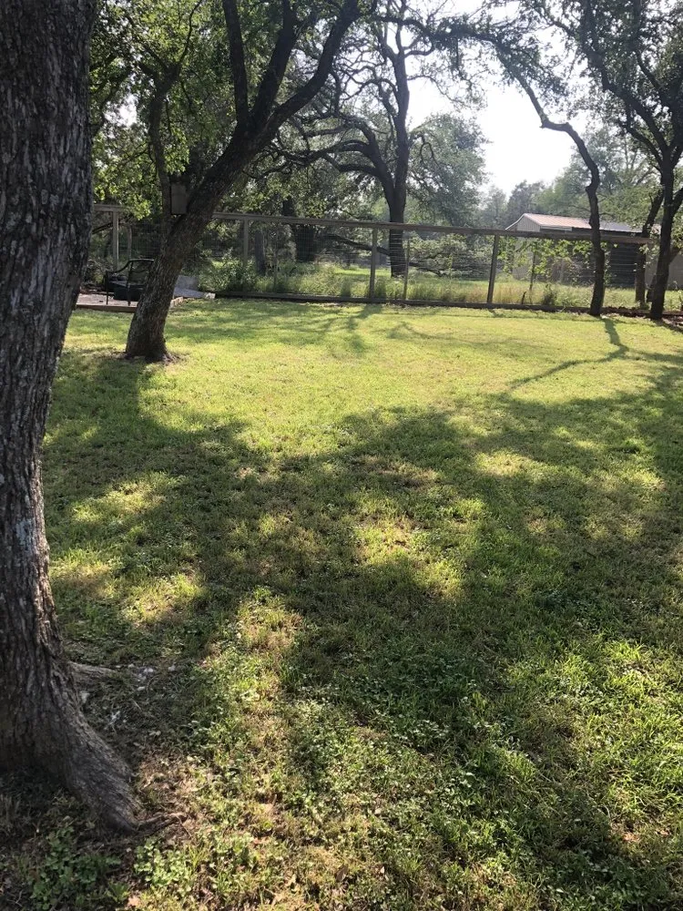 Expert landscape design in Georgetown, TX - Back Yard Lawn and Landscaping