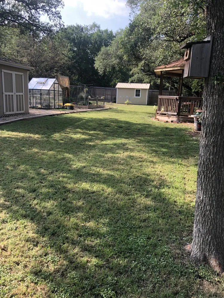 Reliable lawn care service in Georgetown, TX by Back Yard Lawn and Landscaping