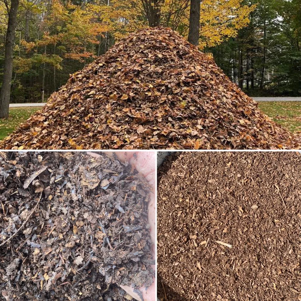 Top-rated outdoor landscaping for residential properties across Palmerton, PA - Back Your Yard