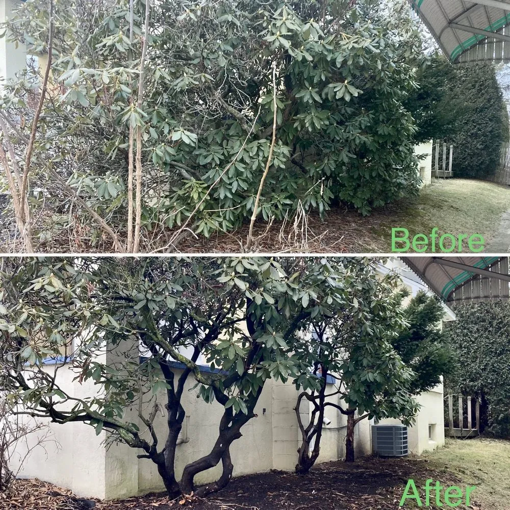 Reliable lawn care service experts serving Palmerton, PA - Back Your Yard