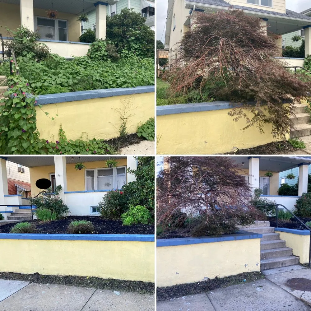 Expert outdoor landscaping in Palmerton, PA by Back Your Yard