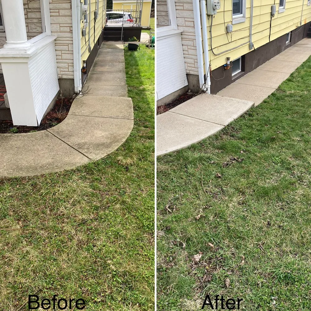 Local landscape installation in Palmerton, PA - Back Your Yard