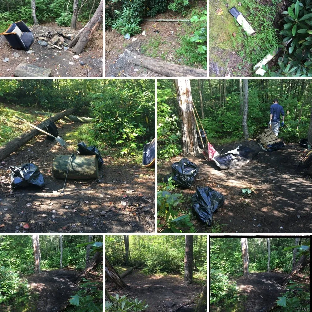 Local residential landscaping experts serving Palmerton, PA - Back Your Yard