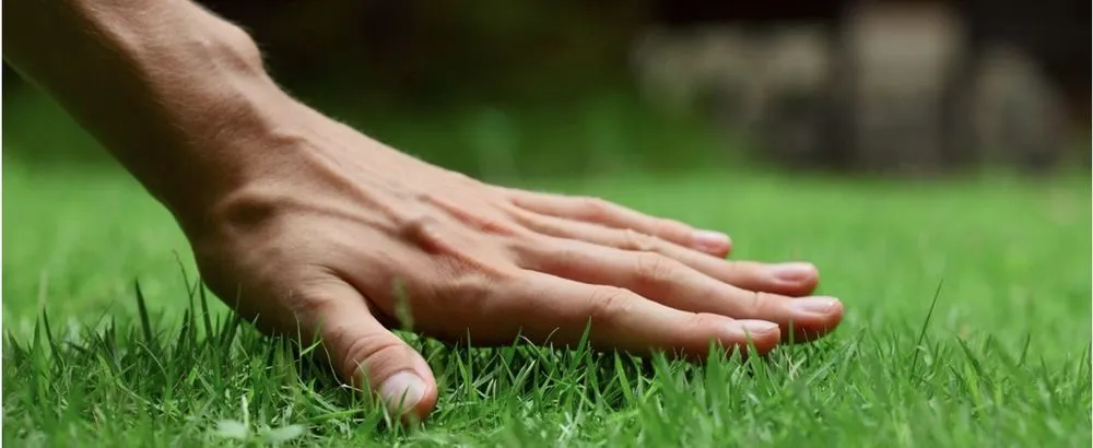 Local landscaping services in Portland, TN - Back2Basics