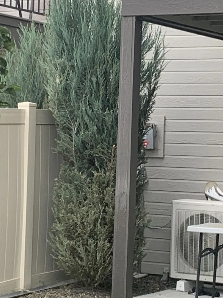 Professional garden landscaping experts serving Boise, ID - Back2Green