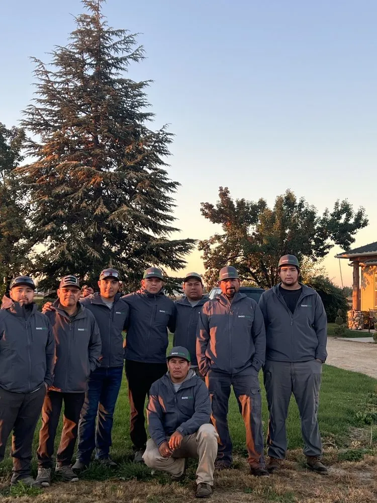 Reliable garden landscaping in Boise, ID by Back2Green