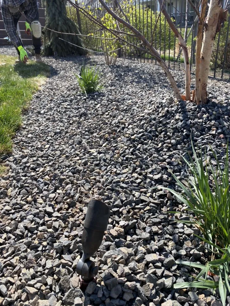 Top-rated landscape design experts serving Boise, ID - Back2Green