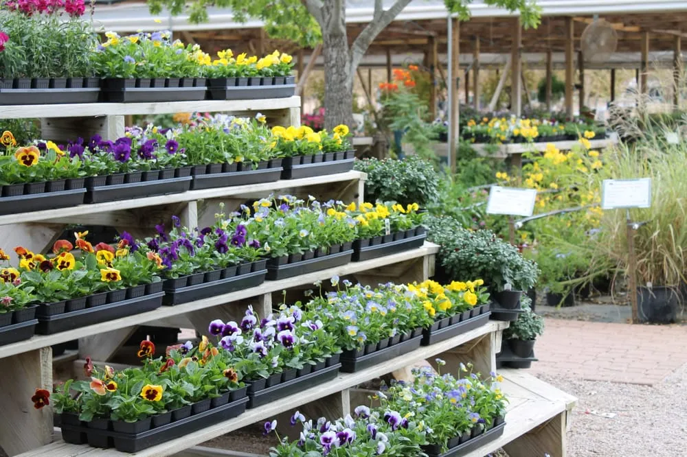 Professional yard cleanup service for residential properties in Marble Falls, TX by Backbone Valley Nursery