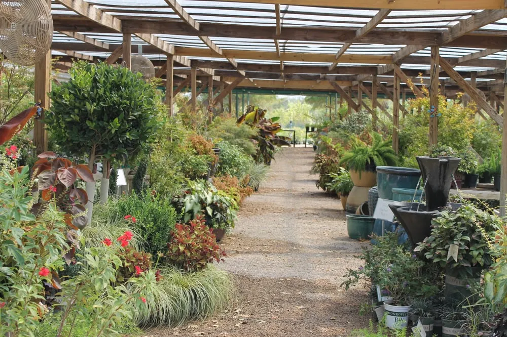 Professional landscape design in Marble Falls, TX by Backbone Valley Nursery
