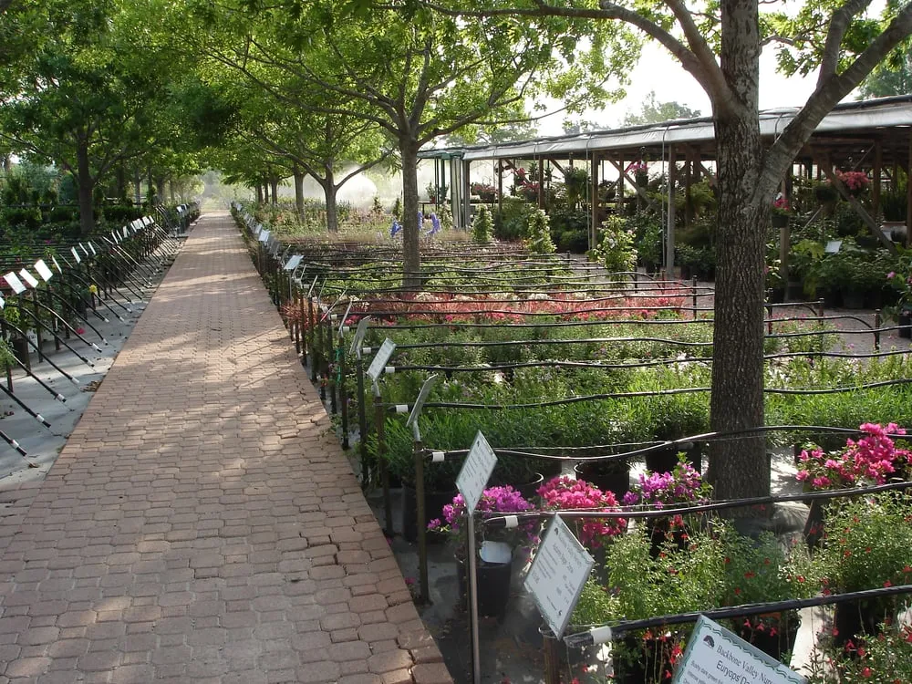 Affordable residential landscaping experts serving Marble Falls, TX - Backbone Valley Nursery