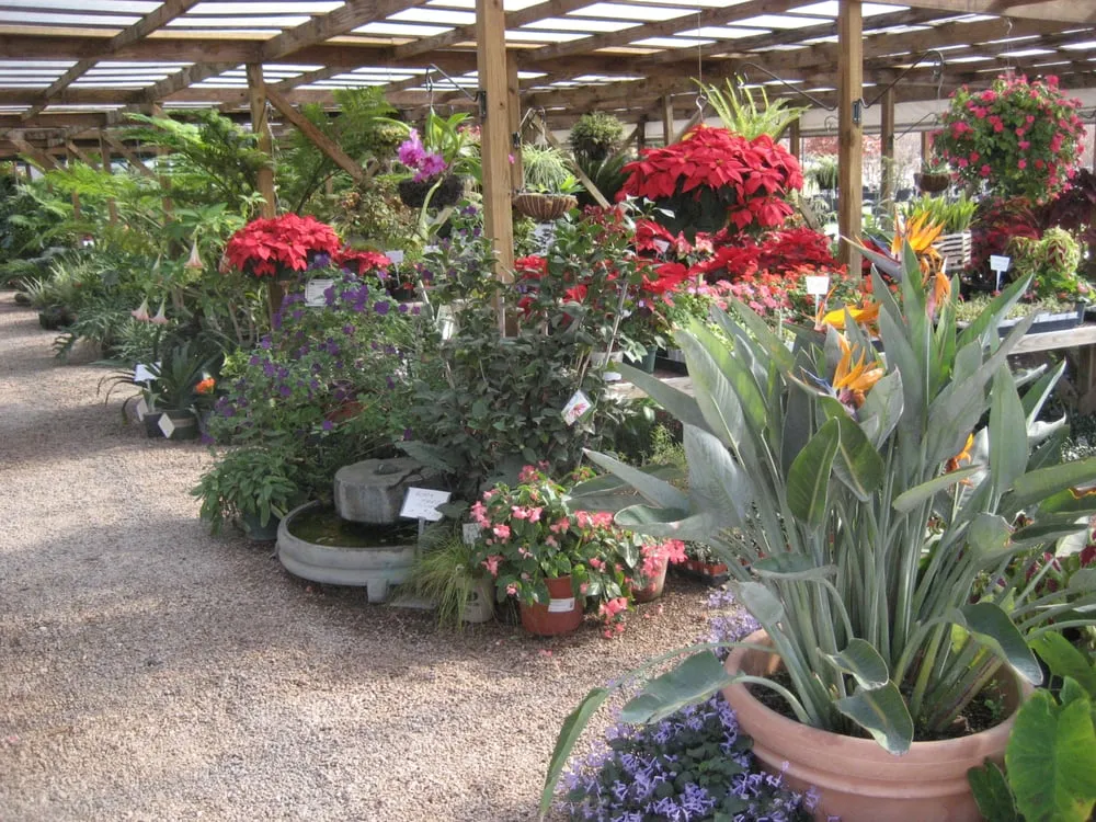 Professional yard cleanup service experts serving Marble Falls, TX - Backbone Valley Nursery