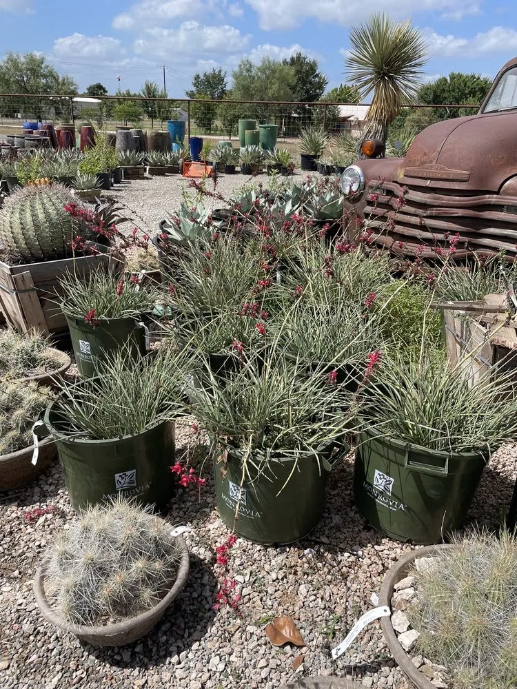 Affordable landscape design experts serving Marble Falls, TX - Backbone Valley Nursery