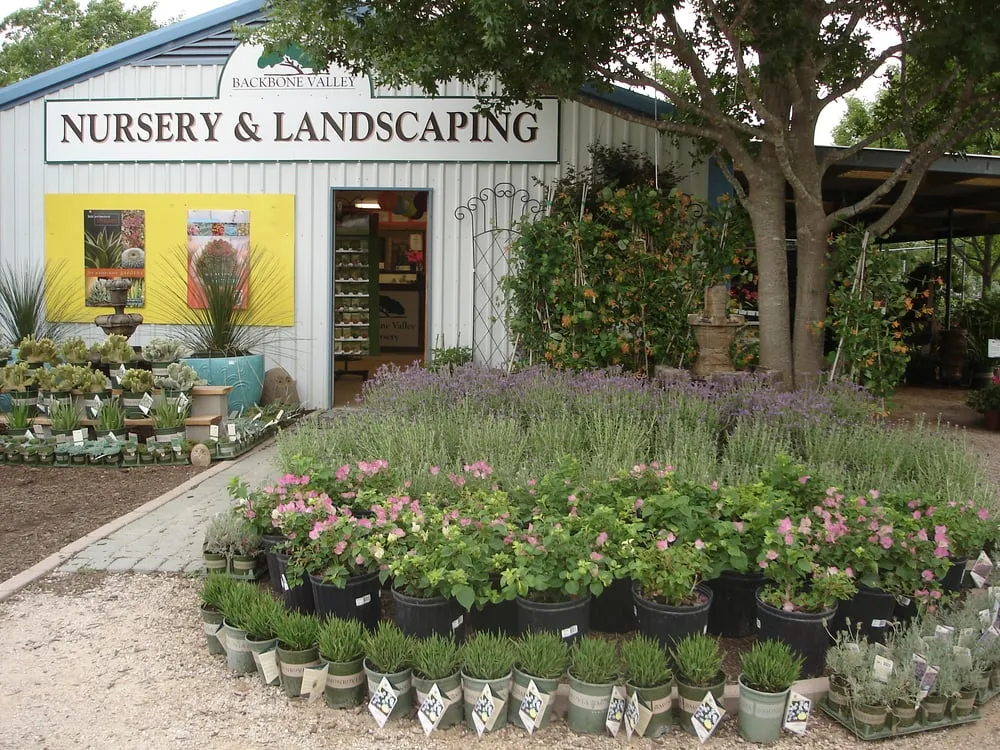 Custom landscape design for year-round maintenance across Marble Falls, TX - Backbone Valley Nursery