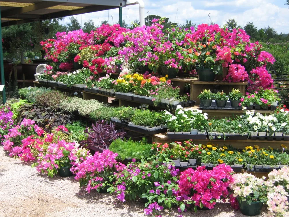 Professional yard maintenance in Marble Falls, TX - Backbone Valley Nursery