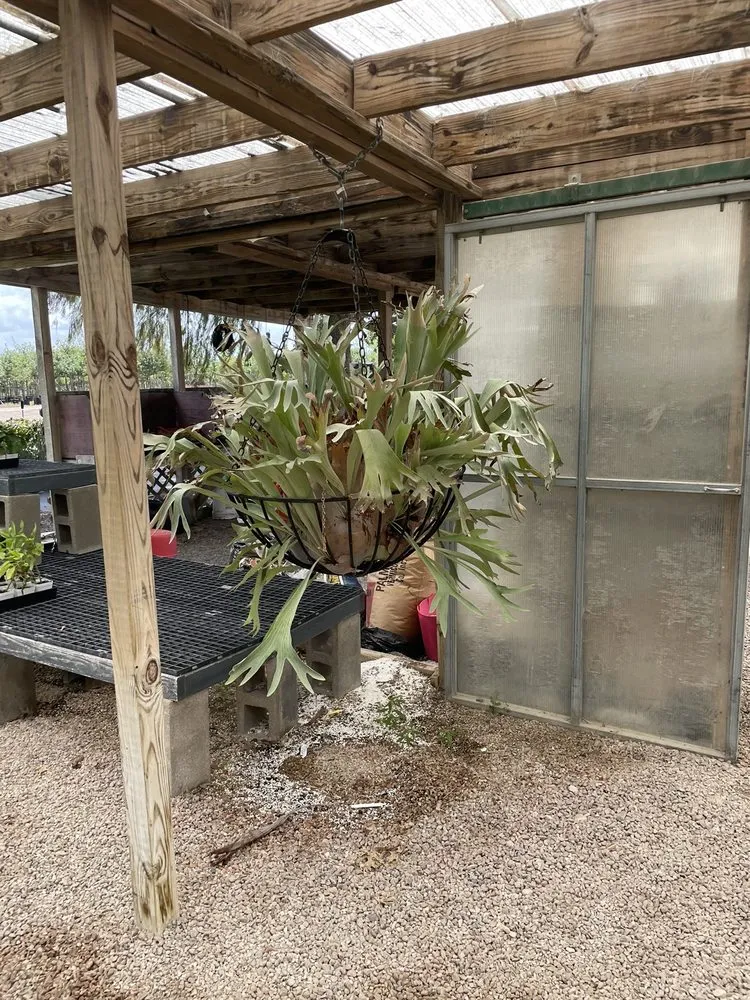 Custom landscape design for homes across Marble Falls, TX - Backbone Valley Nursery