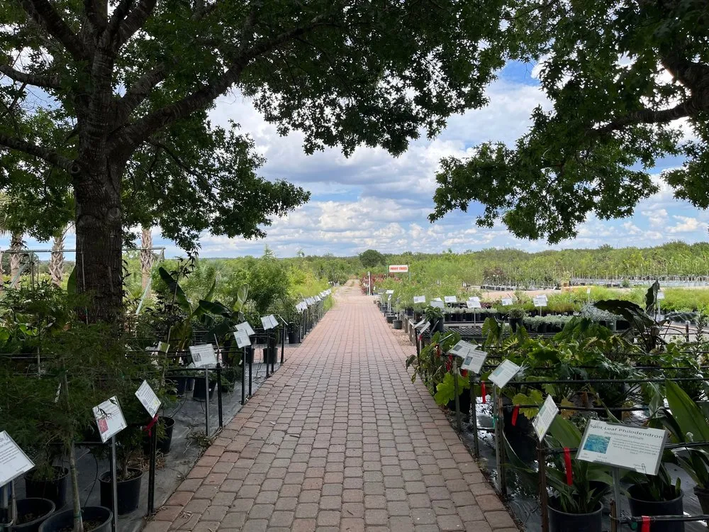 Affordable yard maintenance experts serving Marble Falls, TX - Backbone Valley Nursery