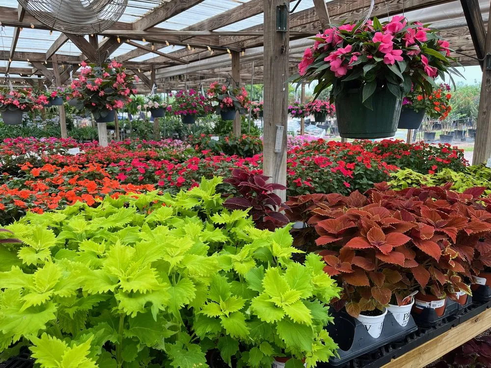 Custom lawn care service in Marble Falls, TX - Backbone Valley Nursery