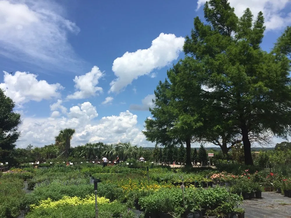 Trusted garden landscaping for homes in Marble Falls, TX by Backbone Valley Nursery