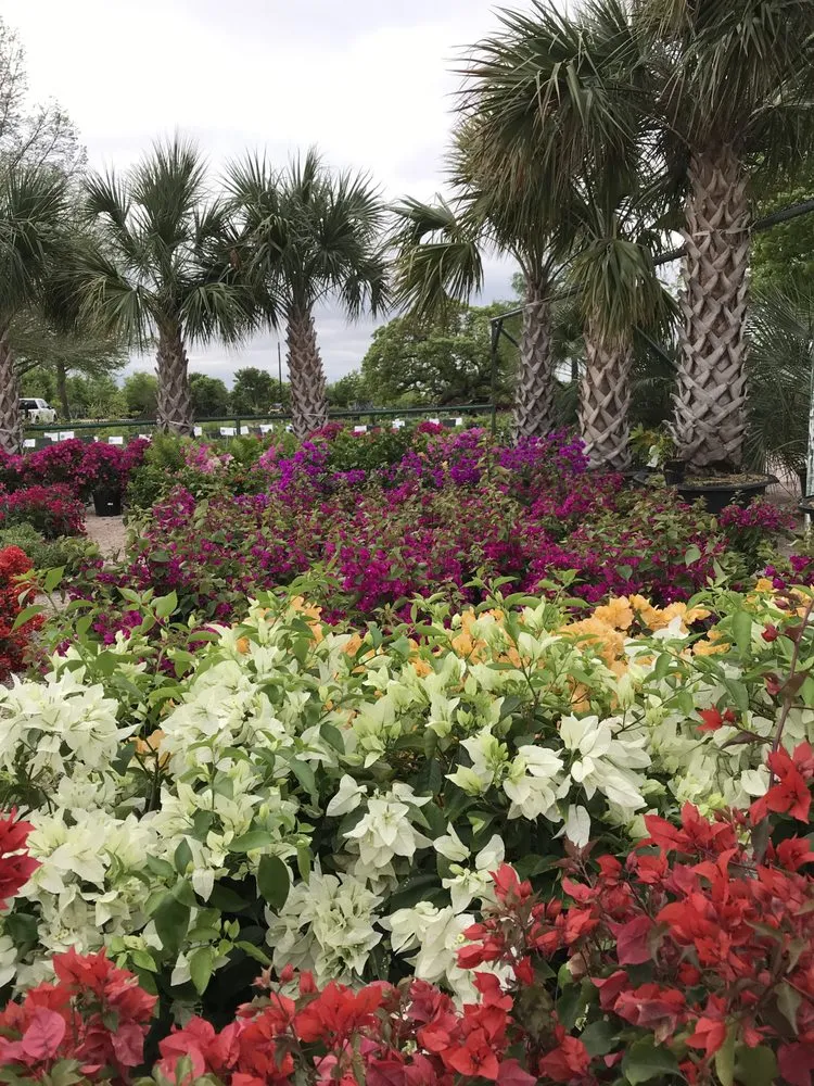 Affordable residential landscaping for year-round maintenance in Marble Falls, TX by Backbone Valley Nursery