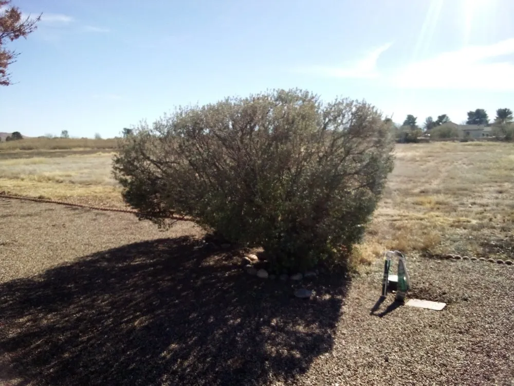 Trusted outdoor landscaping for homes in Pearce, AZ by Backcountry Landscaping & Home