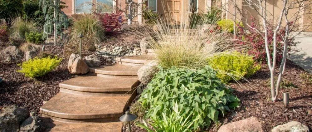 Custom landscaping services in Pearce, AZ - Backcountry Landscaping & Home