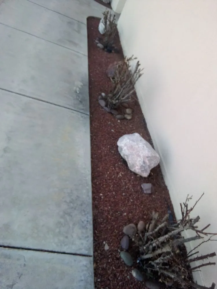 Expert yard maintenance for year-round maintenance across Pearce, AZ - Backcountry Landscaping & Home