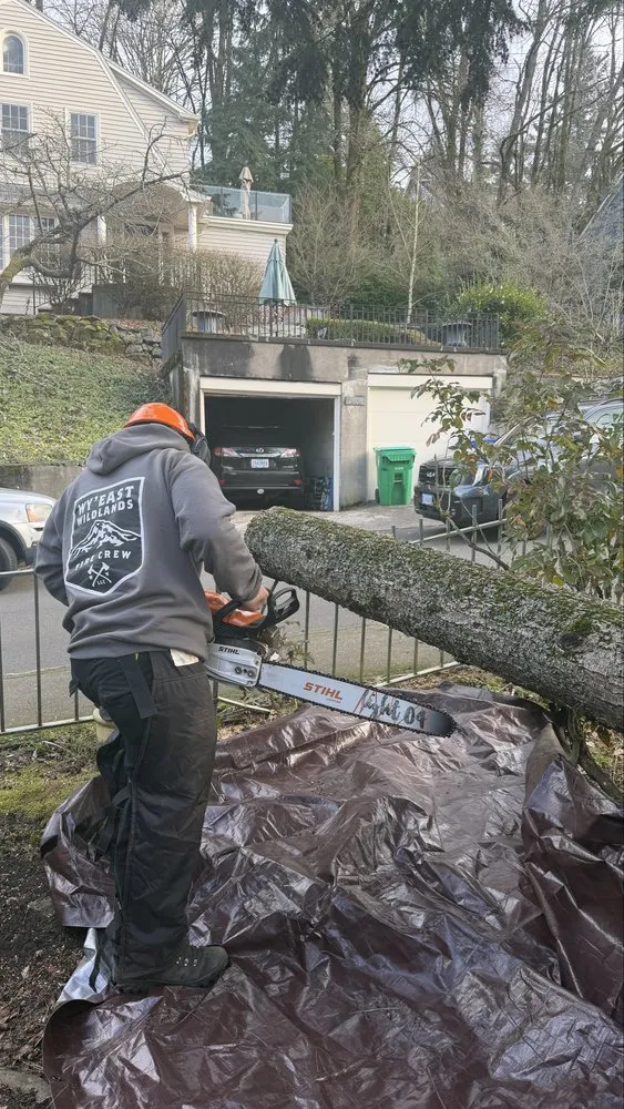 Professional landscape design in Portland, OR - Backcountry Lawn and Tree Services