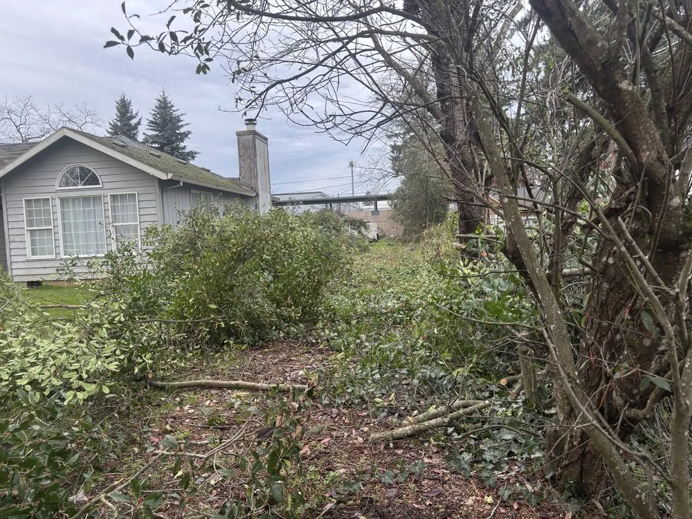 Trusted garden landscaping experts serving Portland, OR - Backcountry Lawn and Tree Services