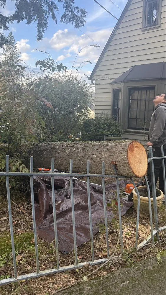 Custom residential landscaping in Portland, OR - Backcountry Lawn and Tree Services