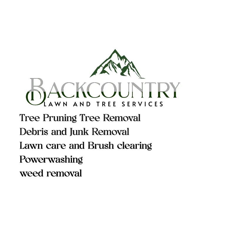 Expert yard cleanup service for year-round maintenance across Portland, OR - Backcountry Lawn and Tree Services
