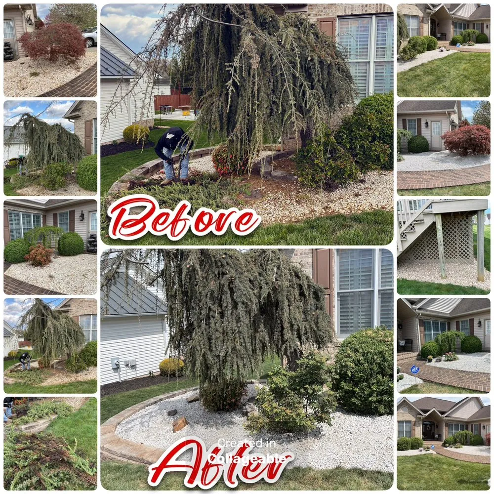 Top-rated landscaping services experts serving Broadway, VA - Backwoods Handymen