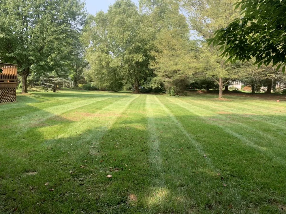 Reliable lawn mowing service for year-round maintenance across Quarryville, PA - Backwoods Landscape & Hardscape