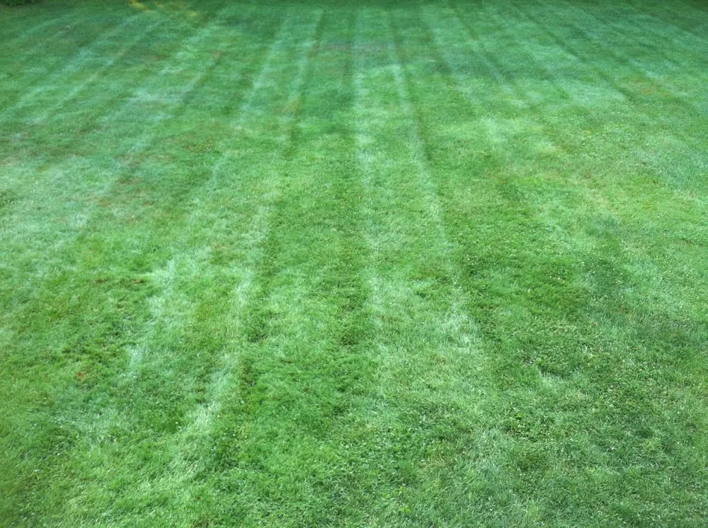 Local landscape design in Londonderry, NH by Backwoods Landscaping