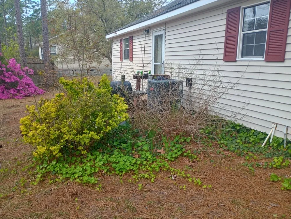 Professional garden landscaping in Southport, NC by Backwoods Landscaping