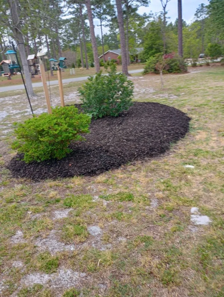 Top-rated outdoor landscaping experts serving Southport, NC - Backwoods Landscaping