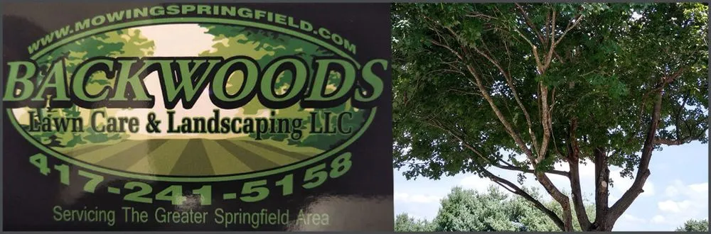 Affordable outdoor landscaping in Springfield, MO - Backwood's Lawn and Landscaping