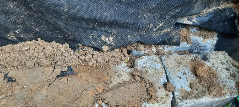 Affordable outdoor landscaping in Crystal River, FL by Backwoods Property Services